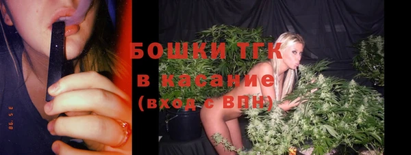 молекула духа Аркадак