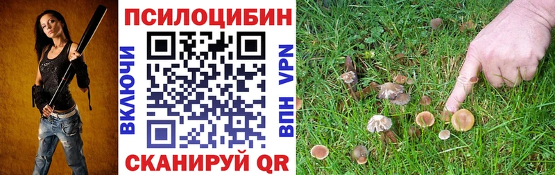 Псилоцибиновые грибы мухоморы  закладки  Пучеж 