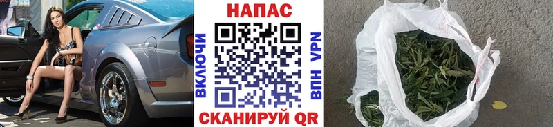 купить наркотики цена  Пучеж  Каннабис планчик 